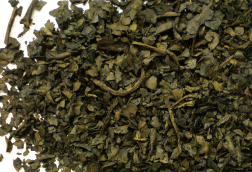 Ska Pastora (Salvia Divinorum)